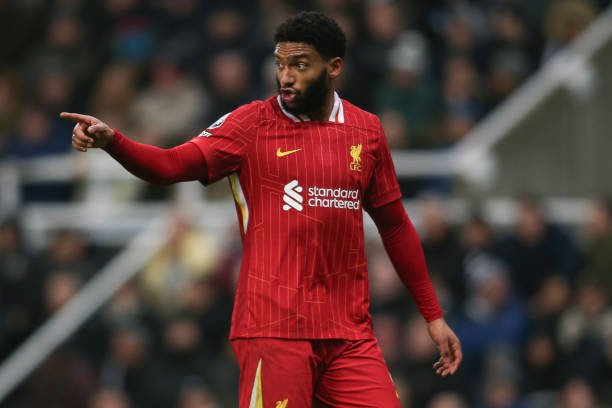 篮的备战状 篮的备战状